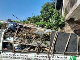 Best Same-Day Junk Removal Services  in Dale, IN